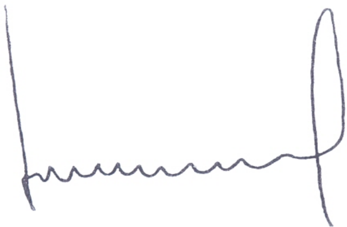 Dr. Fernando Ivanovic-Zuvic Ramírez